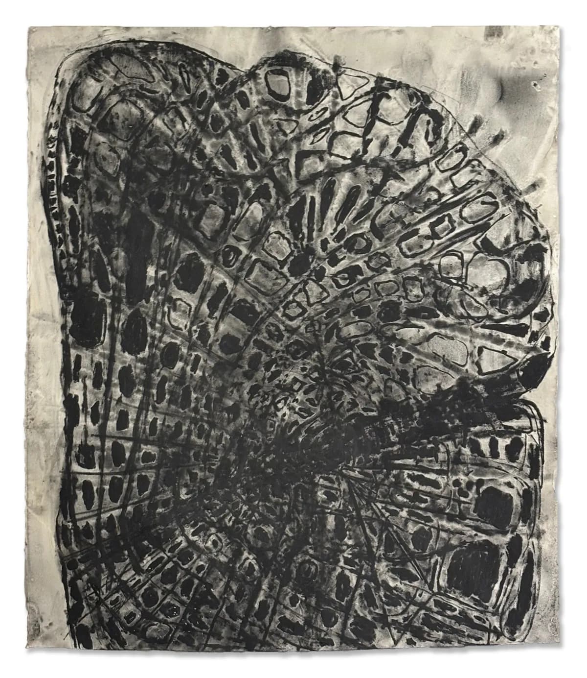 Whitney Oldenburg: hardening the braces