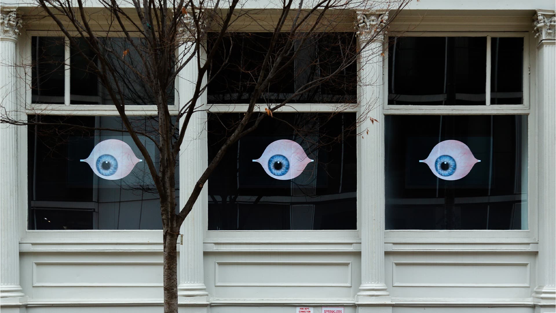 Installation view