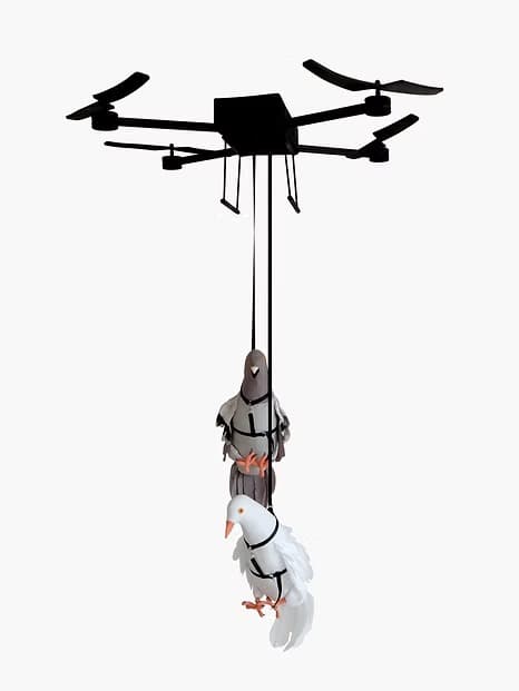 Installation view