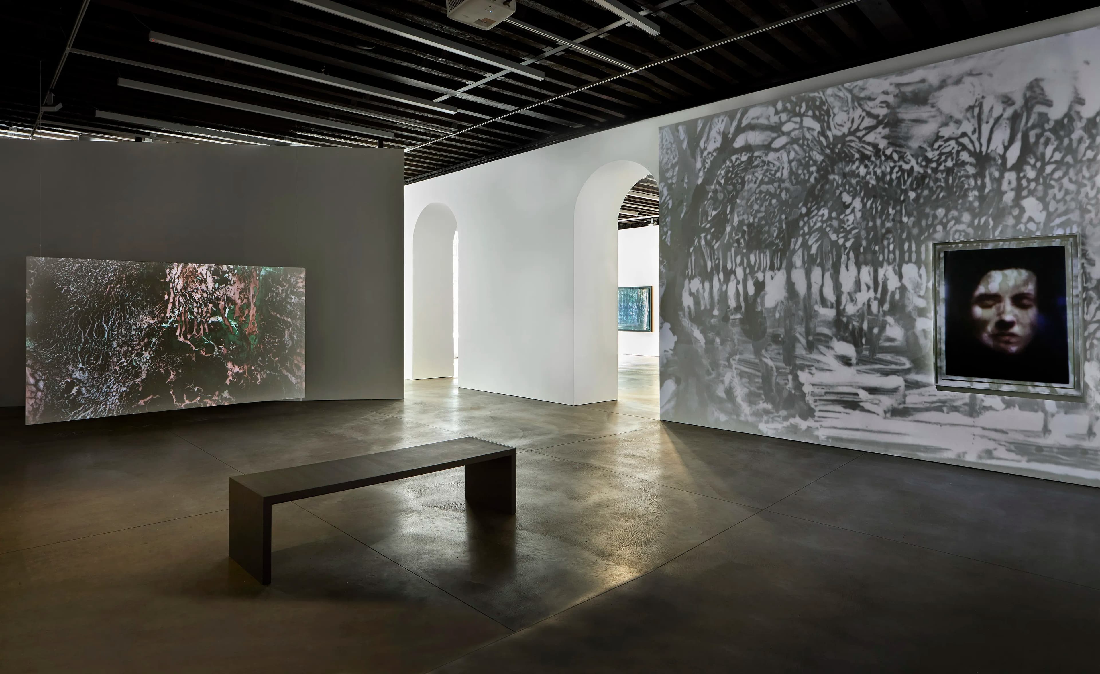 Matt Saunders: On an Overgrown Path