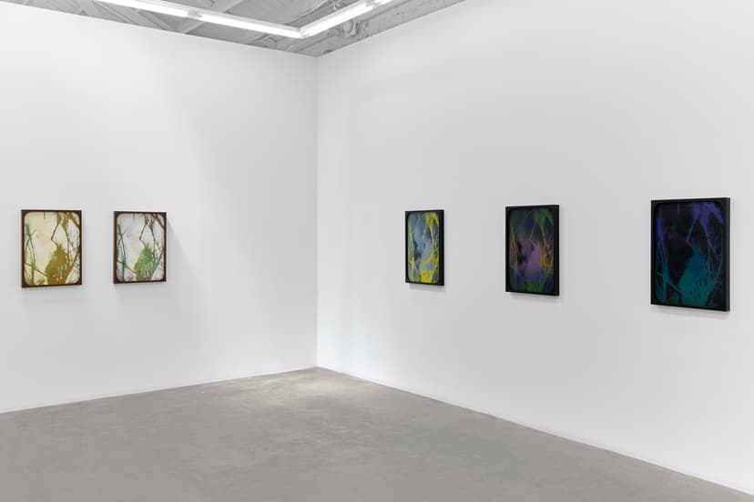 Sherin Guirguis, Into the Lake of Fire, installation view, Luis De Jesus Los Angeles, 2026