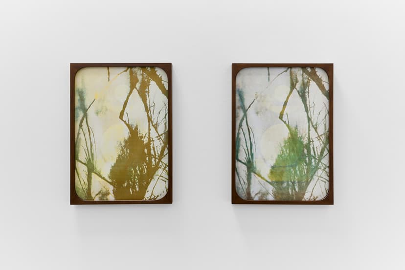 Sherin Guirguis, Into the Lake of Fire, installation view, Luis De Jesus Los Angeles, 2026
