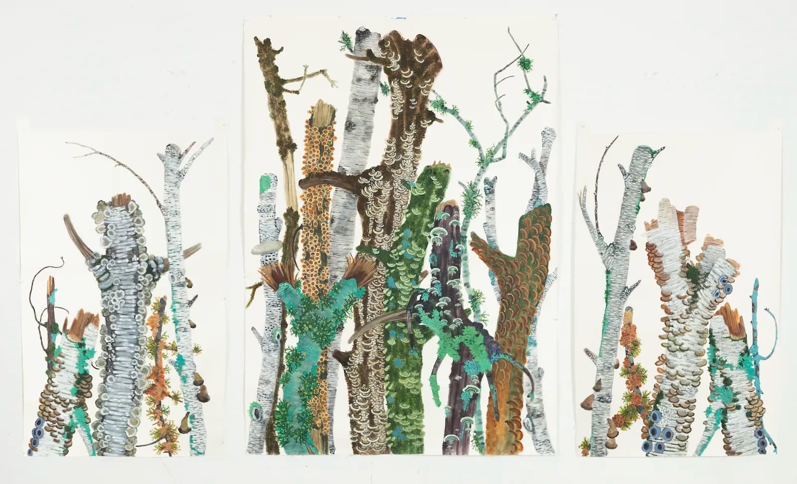 Installation view