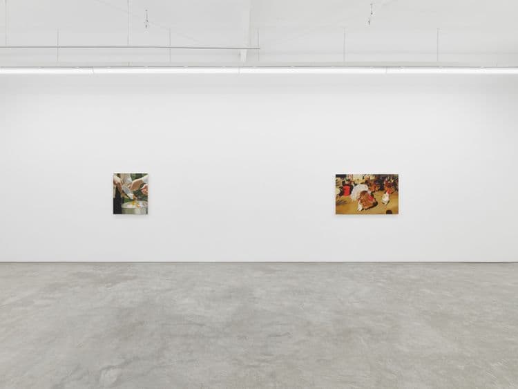 Shannon Cartier Lucy: Bucket of Birds
