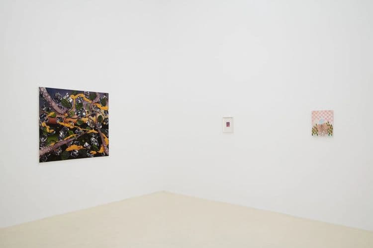 Muna Island: A Survey of Painting