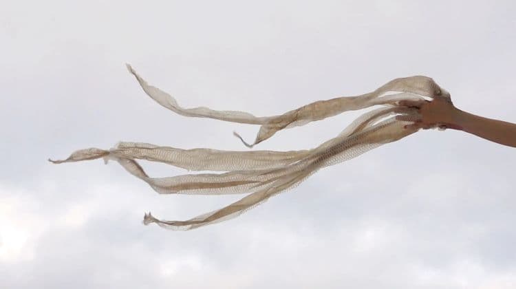 Edith Dekyndt: Notes on What is What