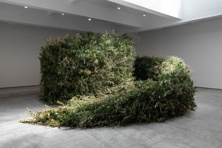 Meg Webster: Thicket