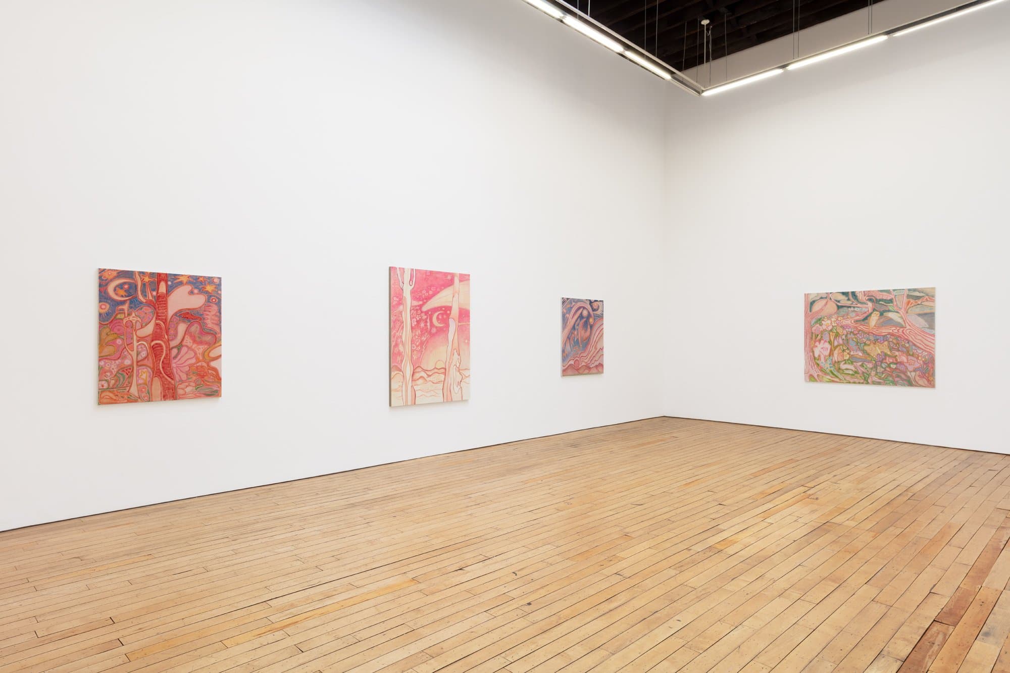 Installation view