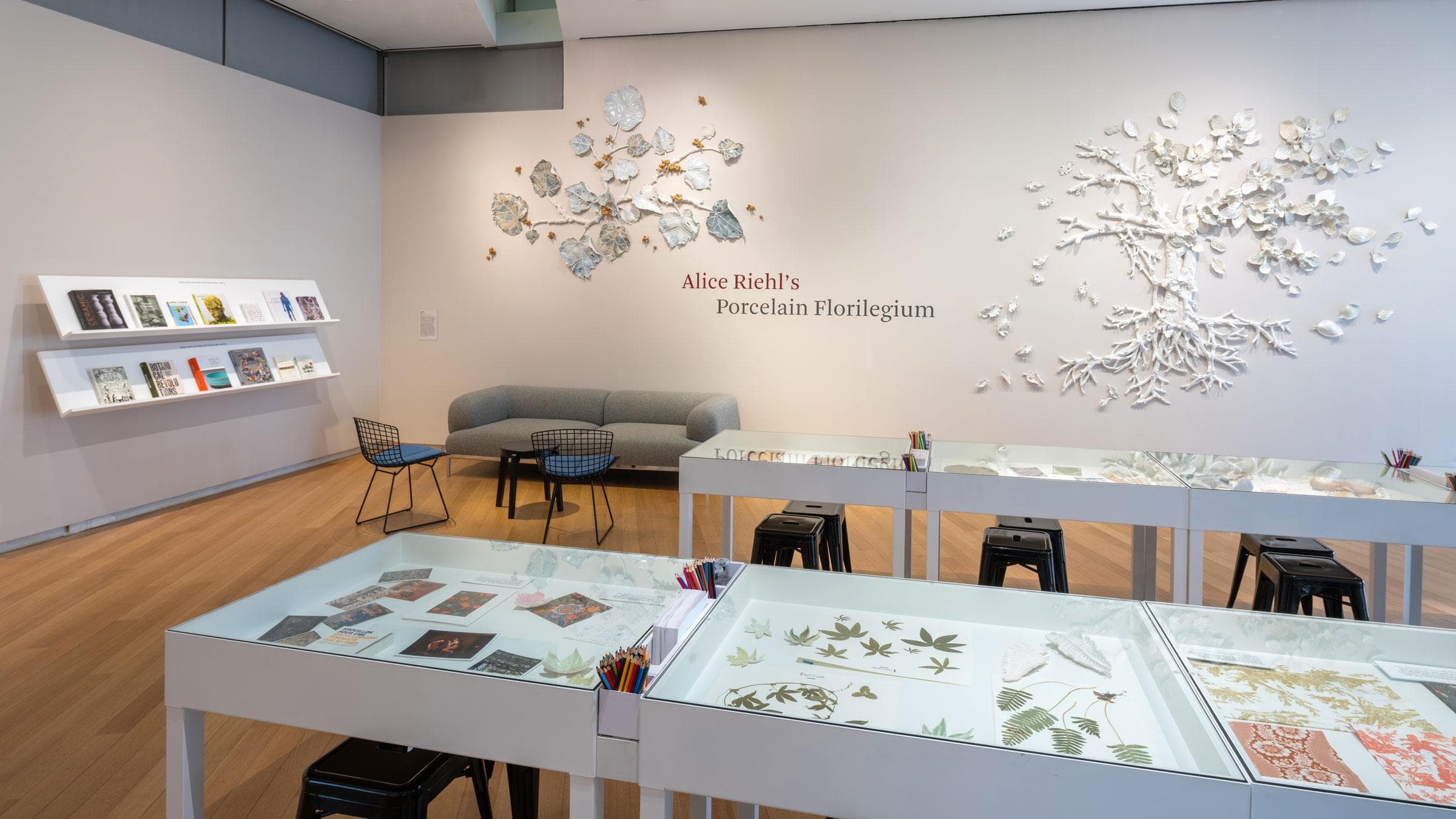 Installation view