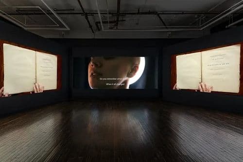Janet Biggs: Path of Totality
