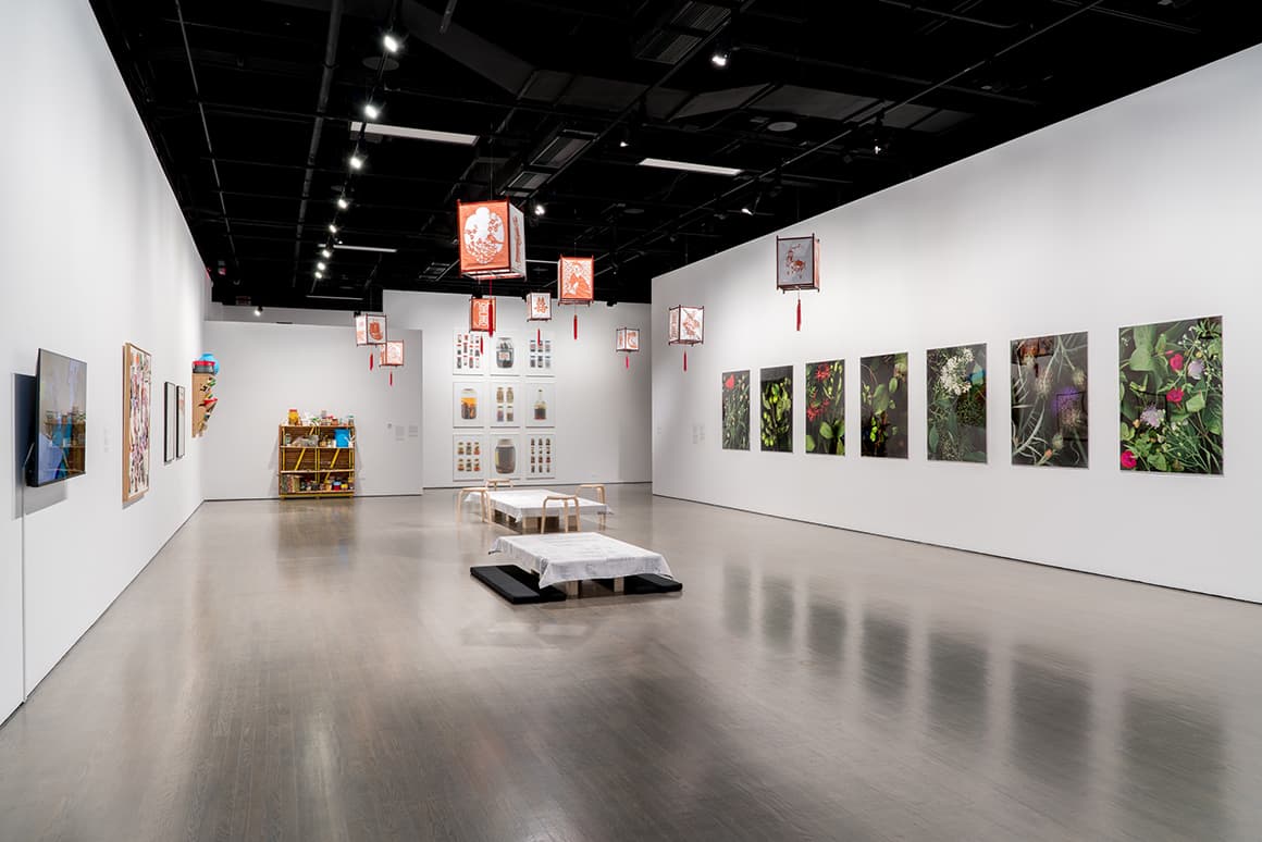 Installation view