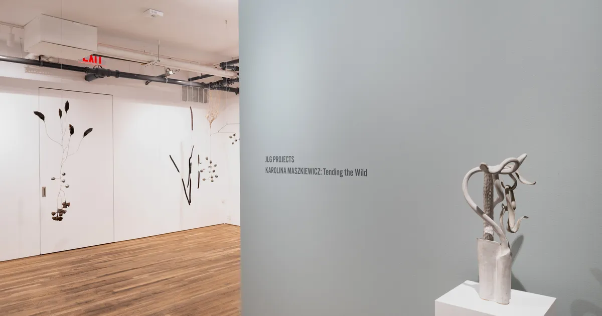 Installation view