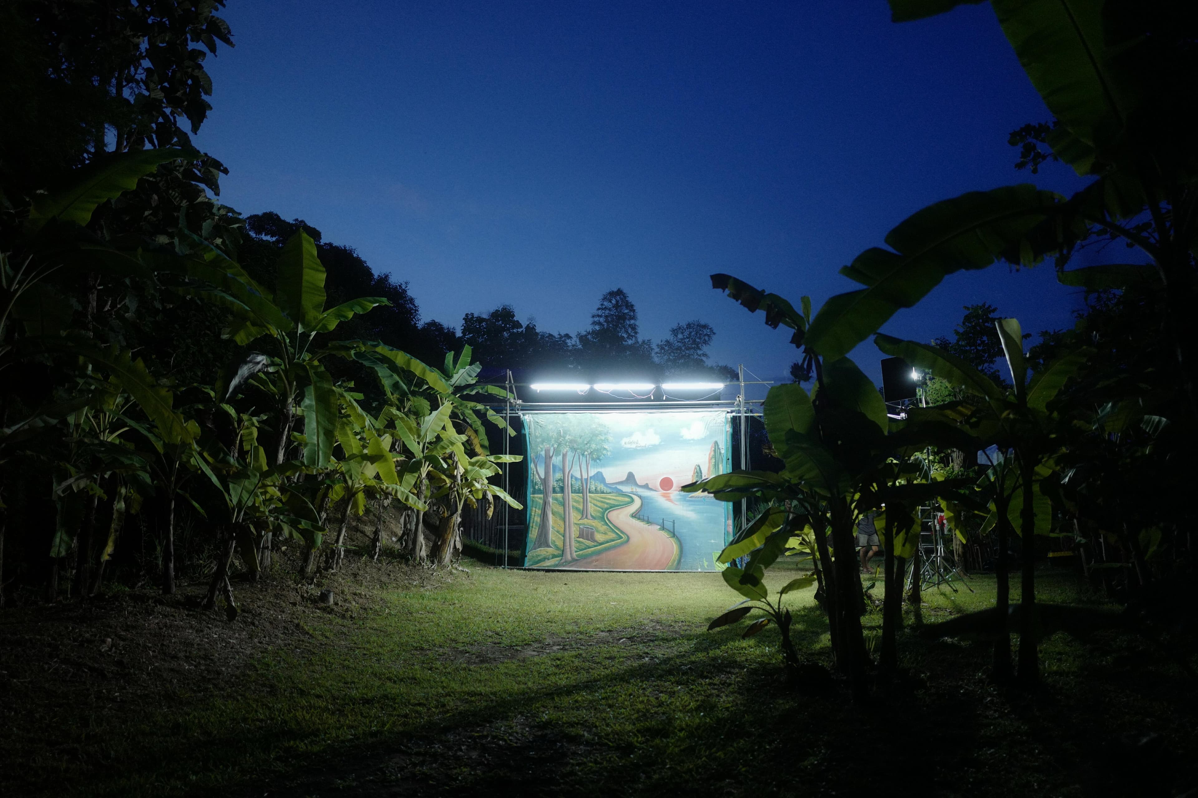 Installation view